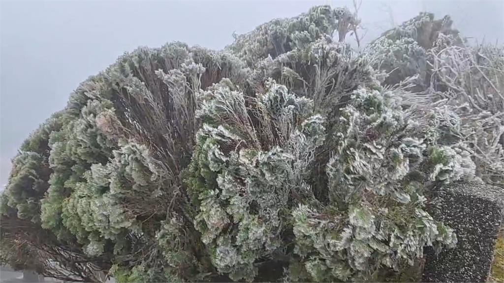 沒下雪！全台凍番薯　太平山中午現冰霰