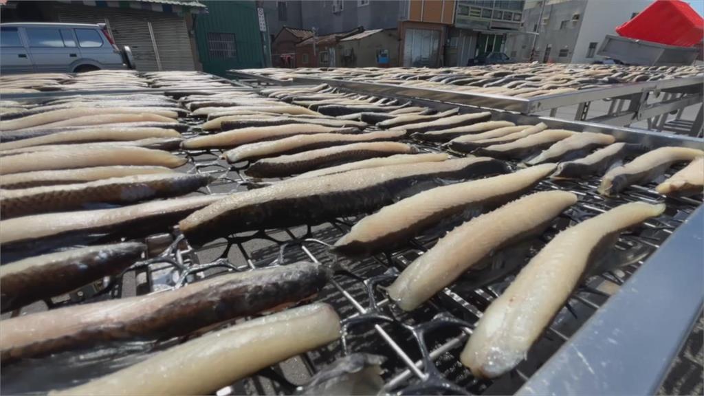 台南虱目魚嶺漲價　養殖面積減衝擊產量