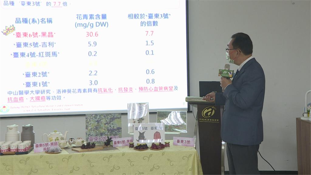 新品種洛神花問世　未來將持續開發製成茶包