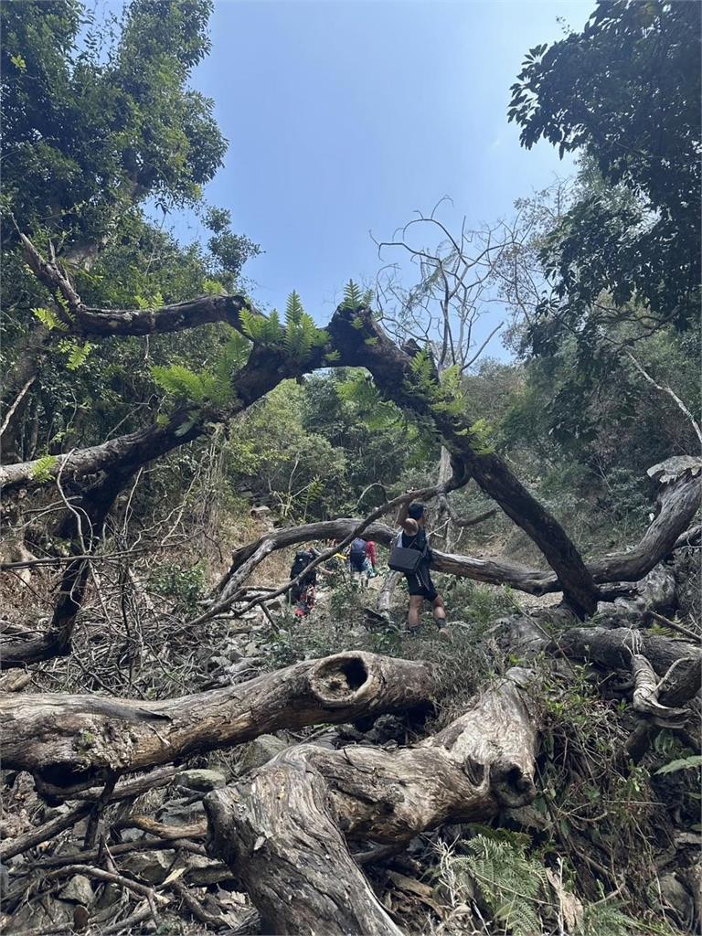 最新／空拍搜4天！登山男摔落台中八仙山碎石坡　命喪松鶴線石瀑區