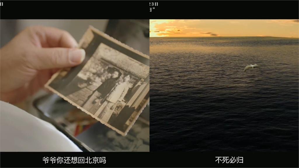 太慘…李立群父女拍「鼓吹統一」中國片!砸1億「首週票房才2萬」中媒也搖頭