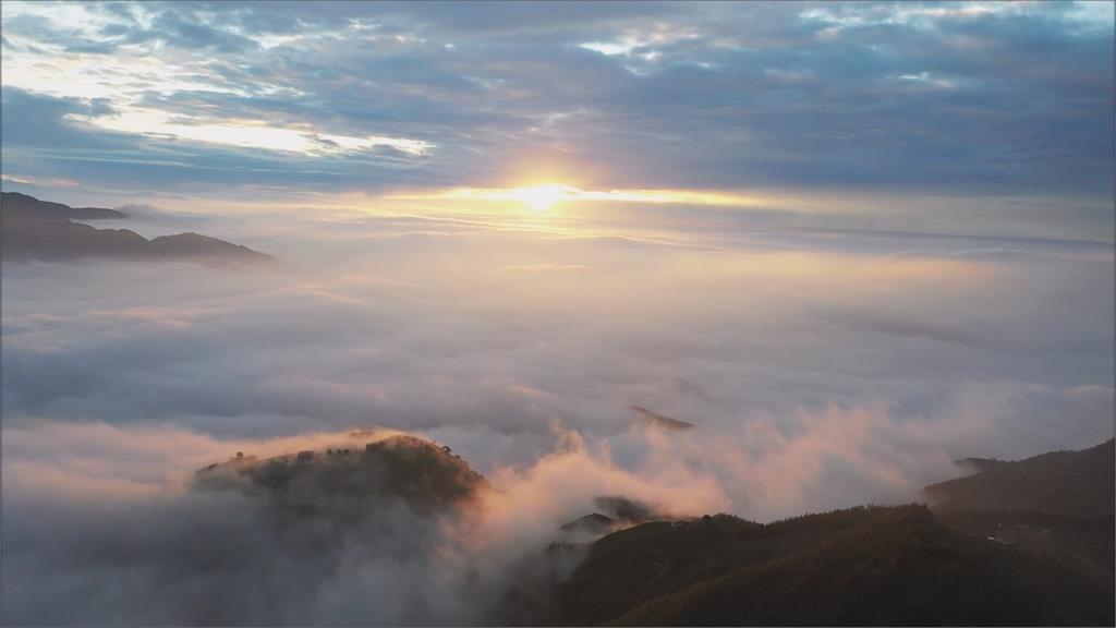 武陵農場藤花園冰晶宮再現　鹿谷大崙山夢幻雲海超壯觀