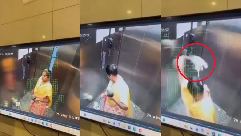 女傭電梯虐狗「活活摔死」!飼主心碎曝光「最後60秒監視器」畫面