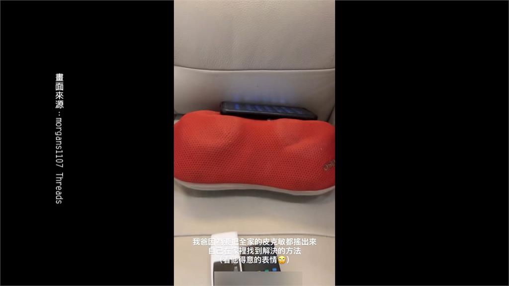 獨家／皮克敏夯！日走萬步獲「矮牽牛徽章」　創意偷吃步曝光