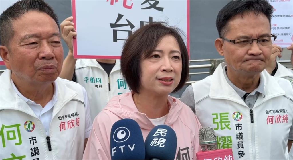 何欣純批藍白軍購砍掉傳產機會　點名盧秀燕、江啟臣「沒替台中說話」