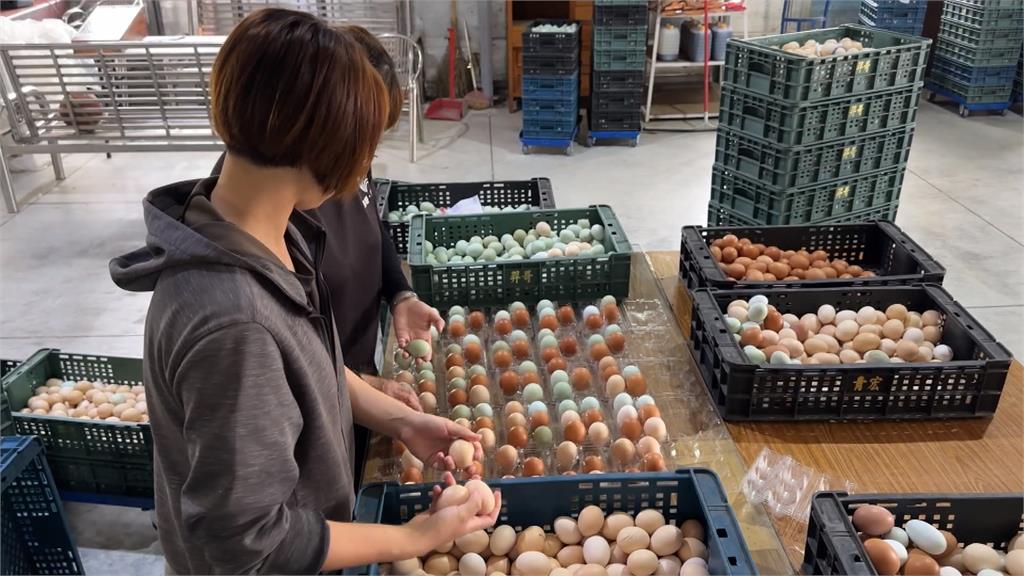 超佛心茶葉蛋2顆10元! 業者公告「買越多沒越便宜」反而更貴