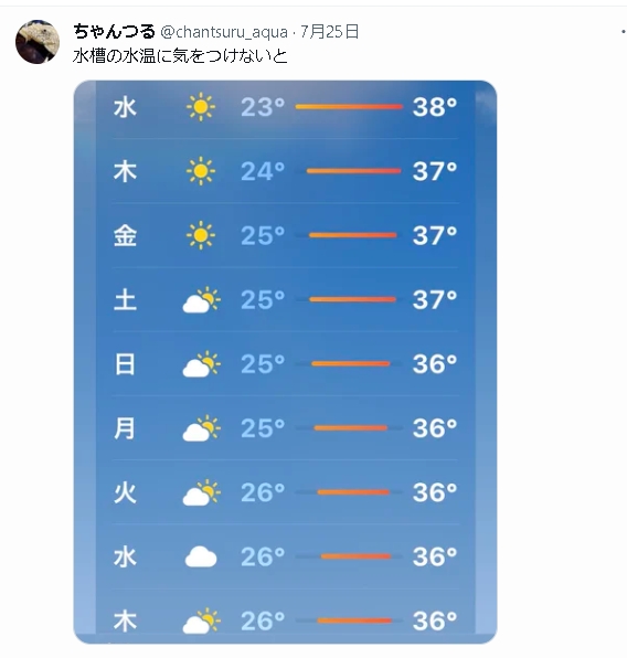 開啟耍廢模式?鯰魚「浮誇綜藝摔」張大嘴翻肚 飼主憋笑:熱昏頭了