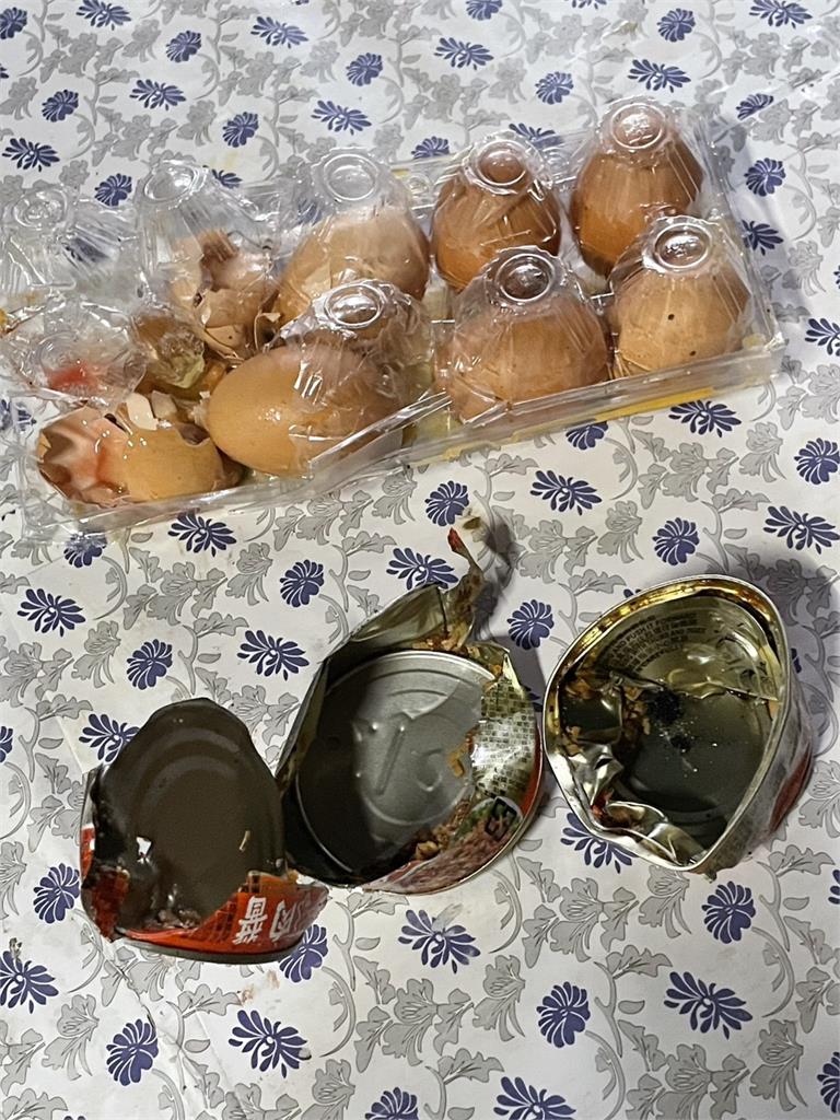 台灣黑熊直衝阿里山部落找食物!「翻冰箱、開罐頭」現場破壞照曝光