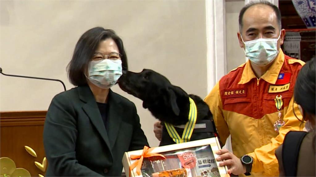 接見搜救英雄牽退役搜救犬「樂樂」到場 太熱情!搜救犬Melody偷親總統
