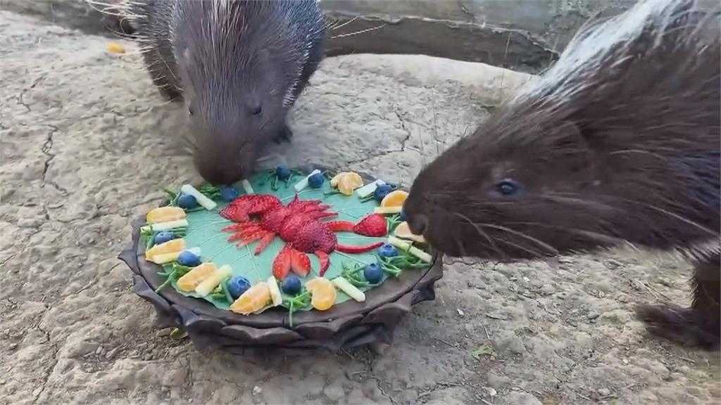 壽山動物園除夕圍爐！　動物享口福　2/2前兒童免費入園