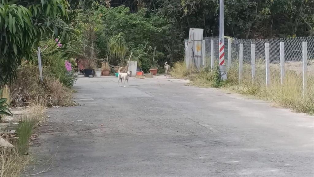 高雄夫妻疑鄰居通報愛犬遭抓走 頻對鄰居家砸蛋貼字條
