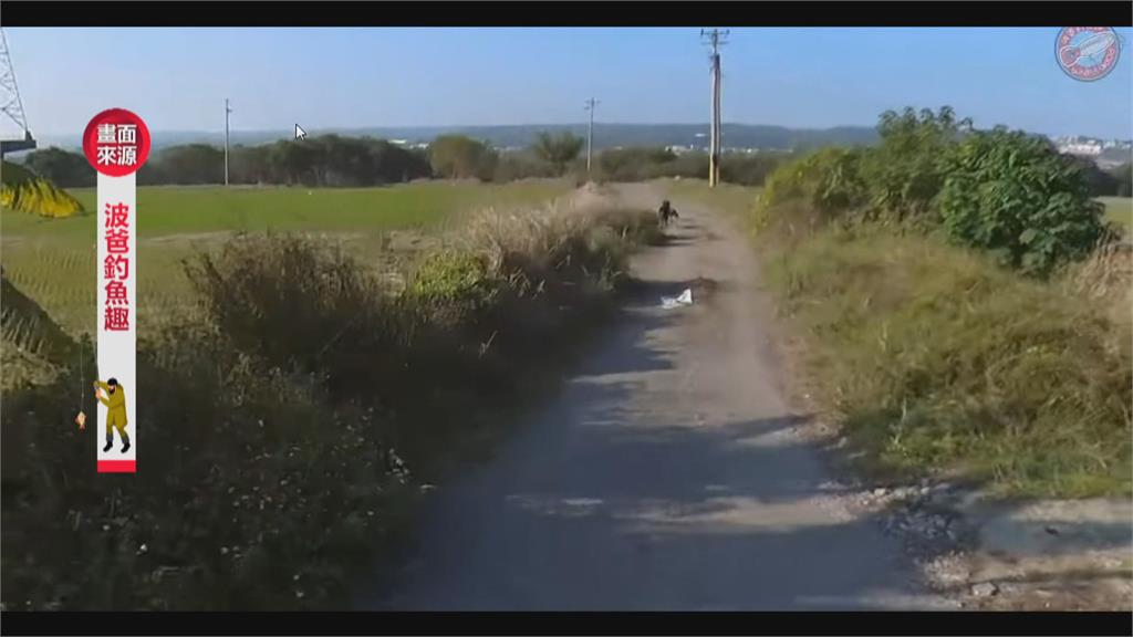 誤闖私人地！　網紅釣客遭獒犬狠追4百米