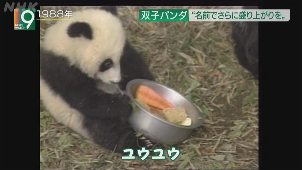 動物園貓熊產龍鳳胎 園方按往例邀民眾命名