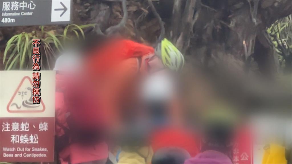 北港溪溫泉秘境列管制區 90人登山團強行翻越鐵柵欄