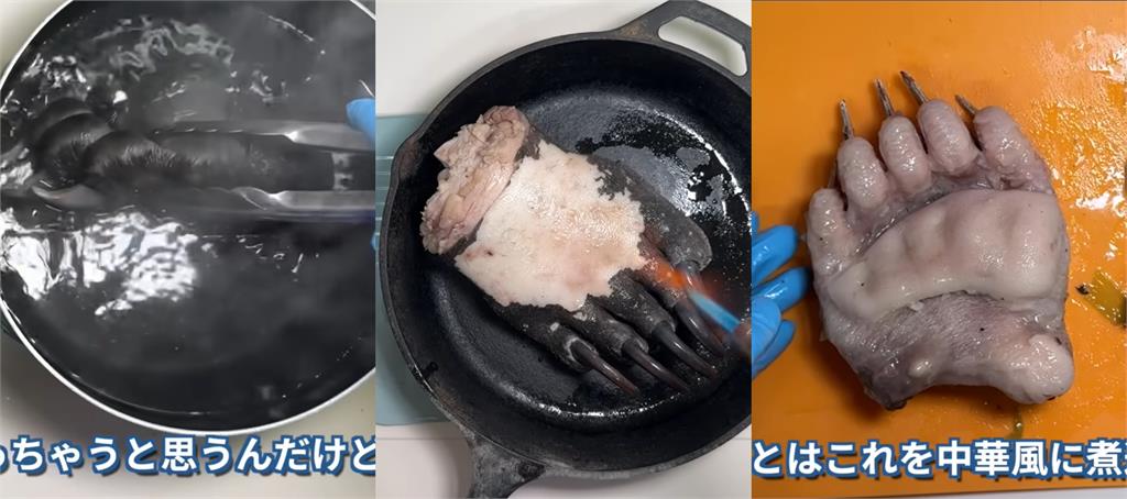 日男拍「紅燒熊掌」試吃喊:像牛肉!完整製作過程曝光…網驚見「1恐怖」片段
