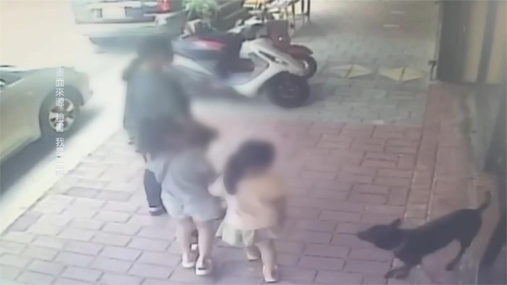不受控！　母帶３女逛三義木雕街　店狗突竄出狂咬　２童全身傷送醫
