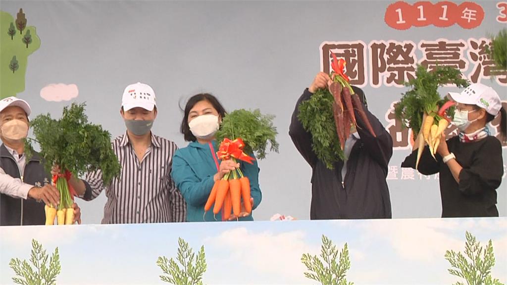 3月首個週六「國際台灣胡蘿蔔日」　千人拔蘿蔔創金氏紀錄