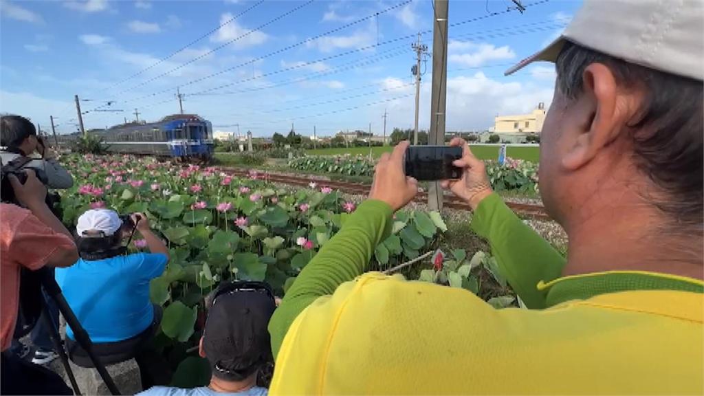 搶拍荷花田亂象多地主火大收費 遊客不買單還報警