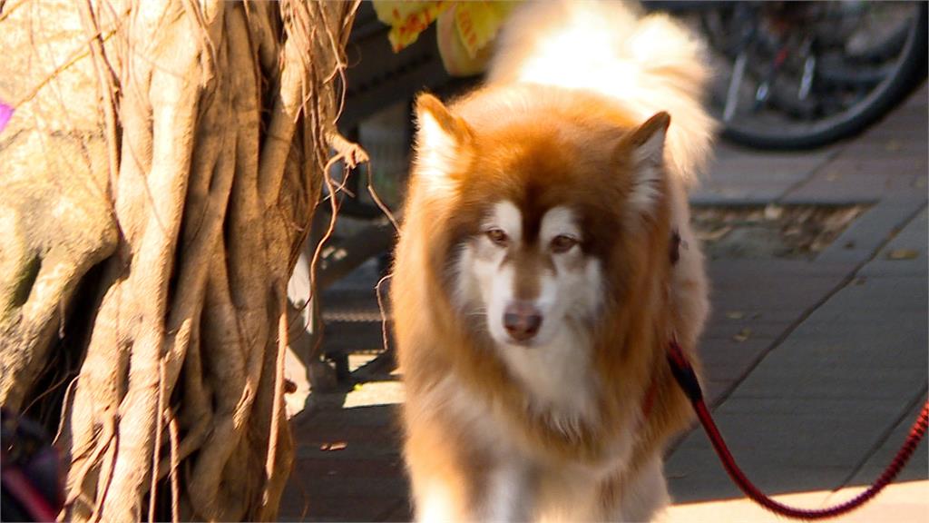 老天賞臉! 開工日天氣晴 下週「東北季風+鋒面」將報到