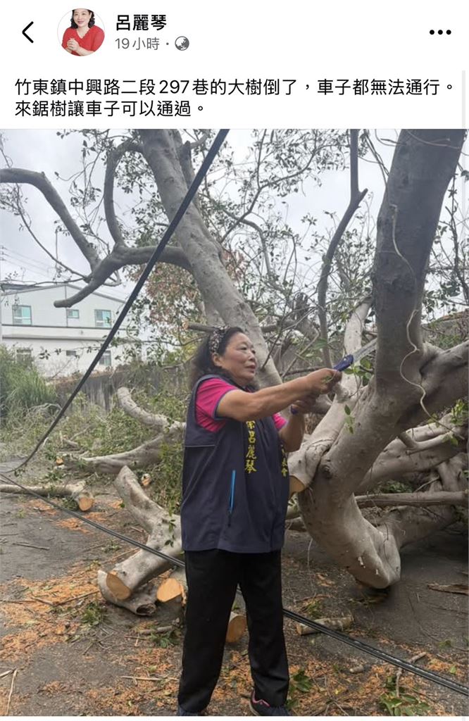 颱風天擺拍？前國民黨鄉鎮代表「拿鋸子鋸倒樹」遭網酸：竹東小鋸人