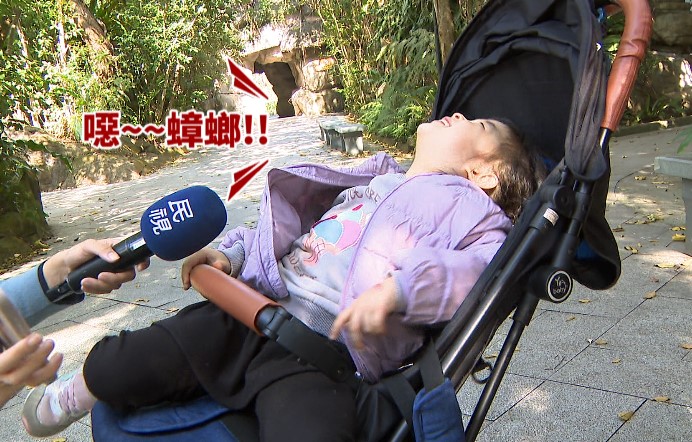 北市動物園刮刮樂送昆蟲標本 「牠」也變標本!全員驚嚇中