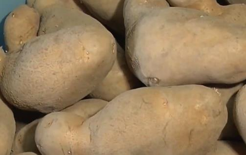 天然高鉀食物「香蕉、菠菜」全上榜　專家囑「3類人」要小心吃多恐致命！