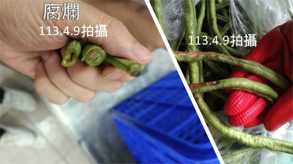學生營養午餐用「爛菜」？　台南市教育局澄清：是退貨食材