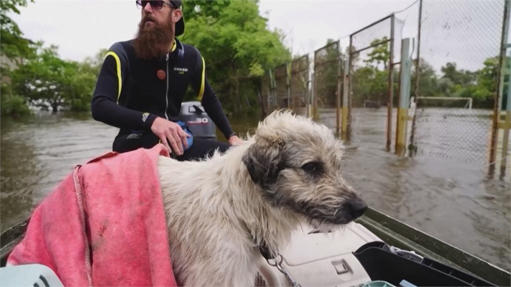 烏克蘭水壩潰堤一週　志工駕快艇救援受困動物