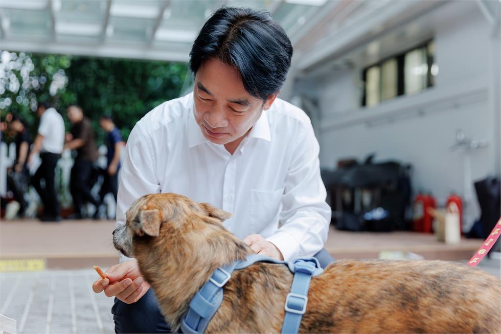 快新聞／國際流浪動物日！已幫斑斑辦入厝派對　賴清德坦言曾擔心「這件事」