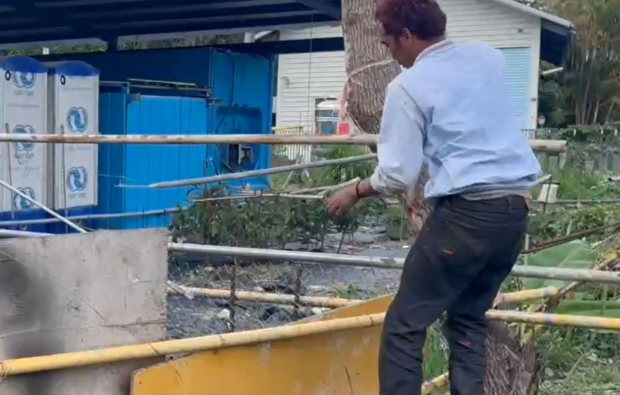 人鳥同路！街頭驚見鴕鳥狂奔　衝進鐵工廠　轎車沿路緊跟