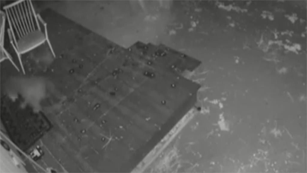 熊闖空門好困擾! 加州愛熊人士發明「通電地墊」