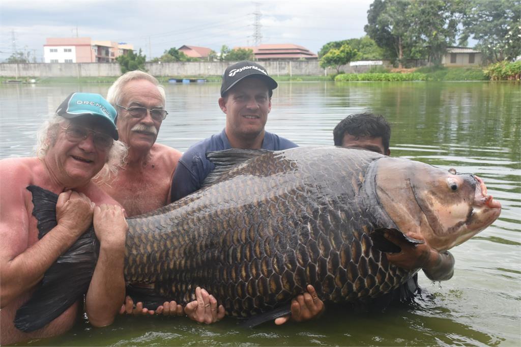 英國釣客捕到「114公斤鯉魚王」！破世界紀錄「4男扛不住」畫面曝光