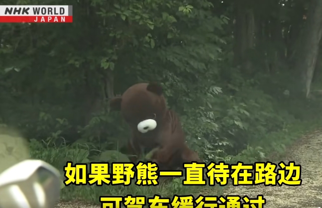 日本野熊攻擊釀10起死亡事件!電視台自製「模擬自保片」網歪樓:失去危機感