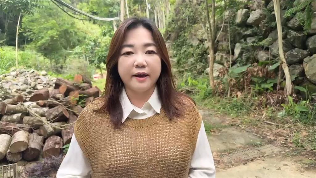馬文君比喻罷團"福壽螺"引眾怒 網嗆:國民黨才是外來種