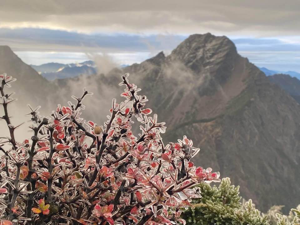 快新聞／寒流罩全台玉山「凍」了！ 鄭明典貼「凍雨」照喊：太美了