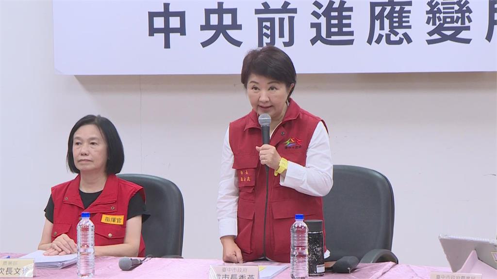 快新聞/甩鍋?市府未稽查養豬廚餘 盧秀燕盼中央解決:豬農不傳影片沒違法