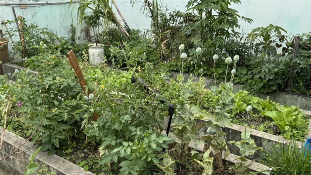 打擊毒品絕不妥協！　卓揆親臨緝毒成果記者會