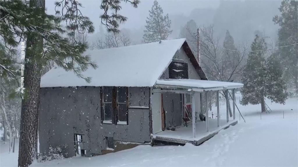 加州下雪了！　水獺摔角大戰超萌