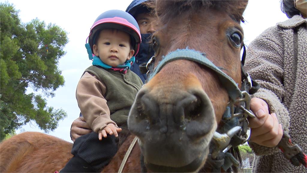 東海大學校園裡有白馬奔馳！　開設馬術課將讓大眾來體驗