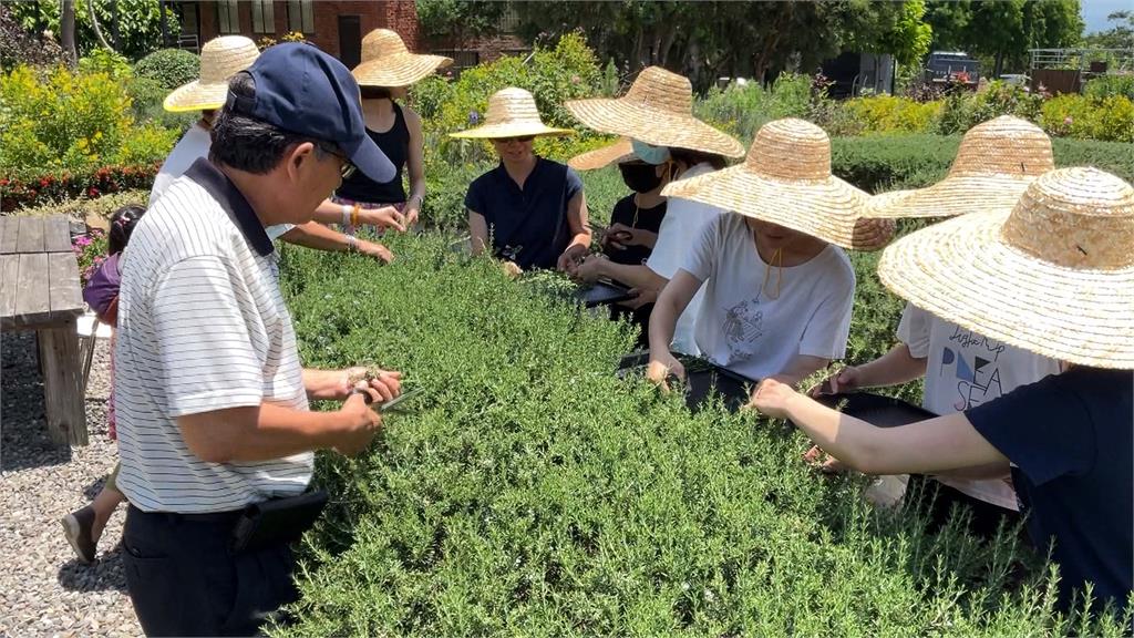 兒子喜歡媽媽就種! 香草花園義式料理可DIY