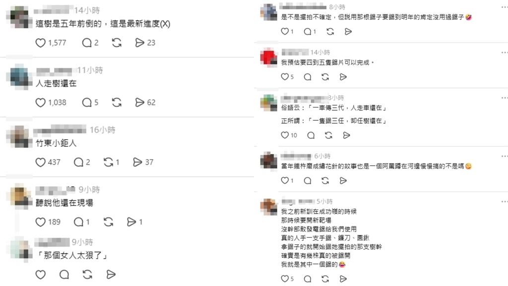 颱風天擺拍？前國民黨鄉鎮代表「拿鋸子鋸倒樹」遭網酸：竹東小鋸人