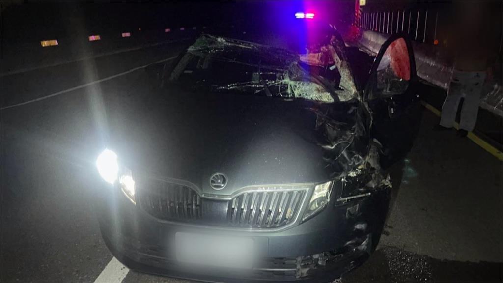 嚇! 西濱快速道路"馬兒狂奔" 轎車閃避不及迎面撞亡