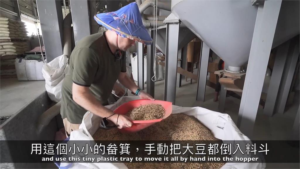 體驗一日豆農!英國男狂鏟黃豆直汗流浹背 累喊:比蛙人還辛苦