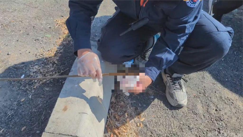 追高雄連環分屍案! 警續搜金鞏橋 大嫂屍骨仍成謎