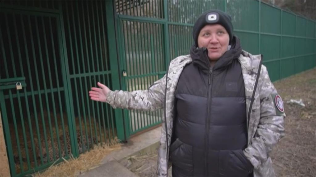 烏俄戰爭急逃難！富商棄養私人動物園　她成立避難所：每日耗百公斤肉