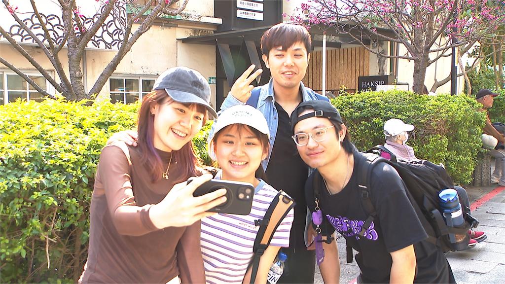 把握假期尾聲！三峽老街湧人潮　區公所旁櫻花秘境成熱門打卡點