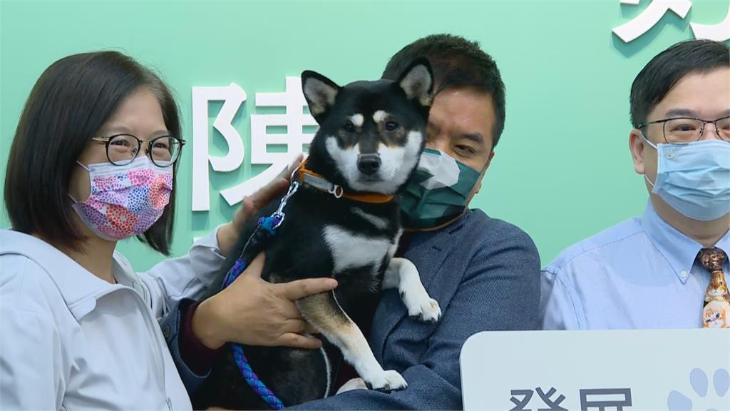 快新聞/狗狗發言人「沿八」現身記者會萌翻全場 陳時中瞇眼笑露慈愛