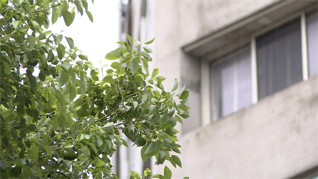 兩樣情?「杜蘇芮」雨炸南台灣 北部民眾喊:無感 氣象局示警 留意10級強風