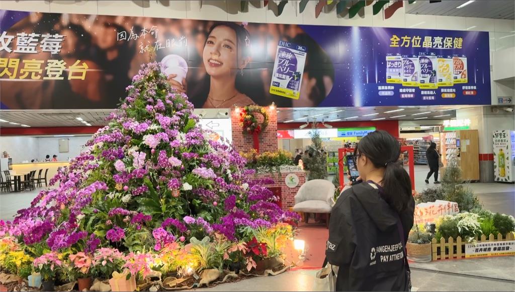 高捷「蘭花堆成耶誕樹造型」引熱議　民眾：搭配起來像靈堂