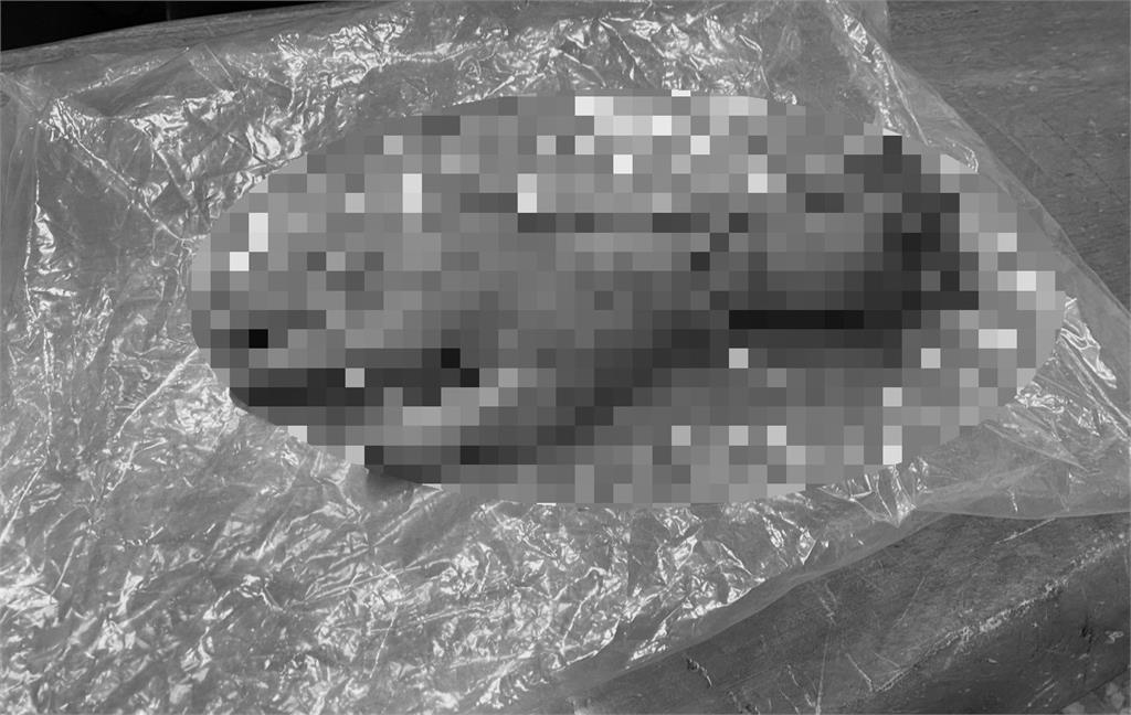 台中街頭突掉落「紅色斷掌」路人嚇瘋！員警急下車「結局超反轉」他慘了